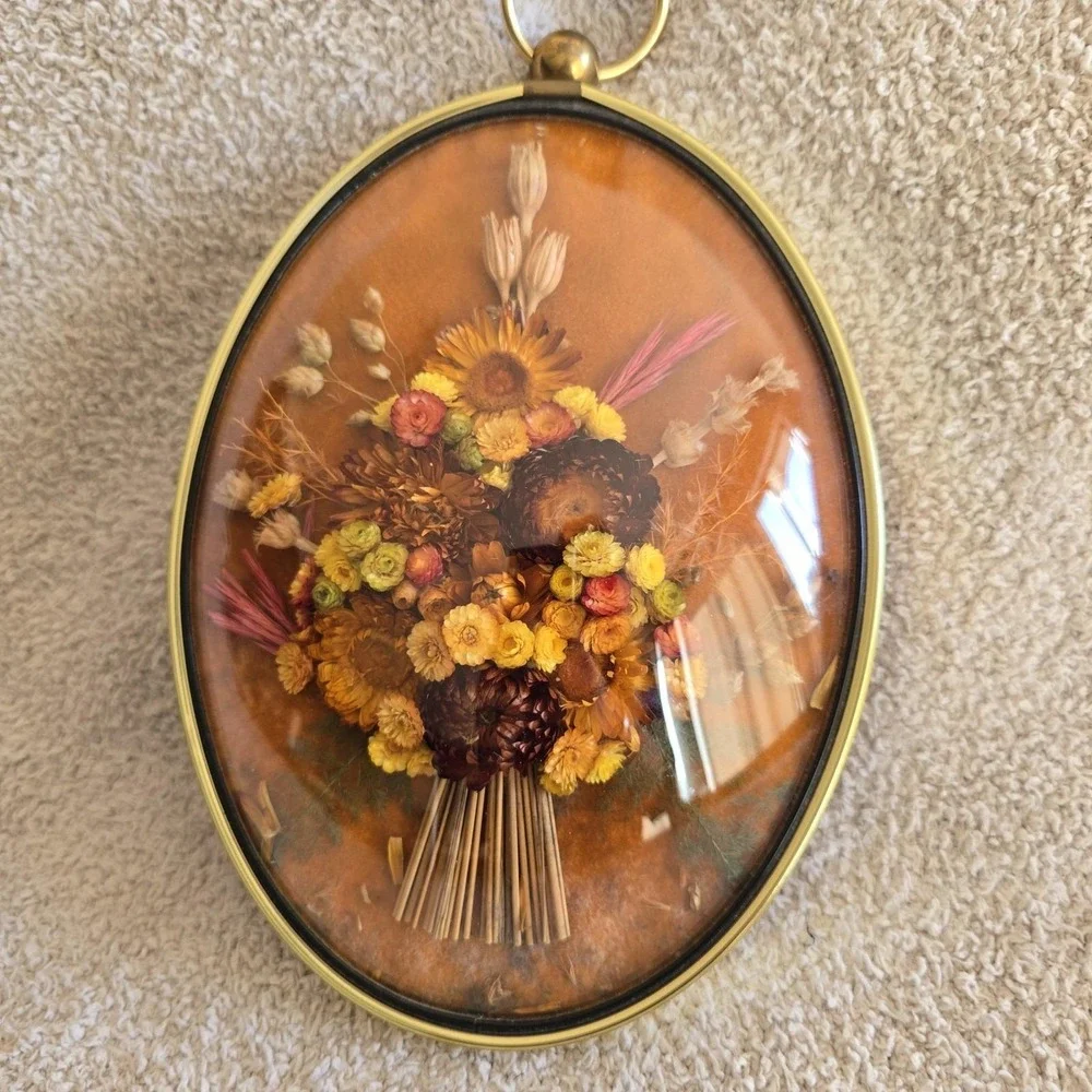 Vintage Cideart Belgium Straw Flowers Domed Frame Large Display Decor Wall Art